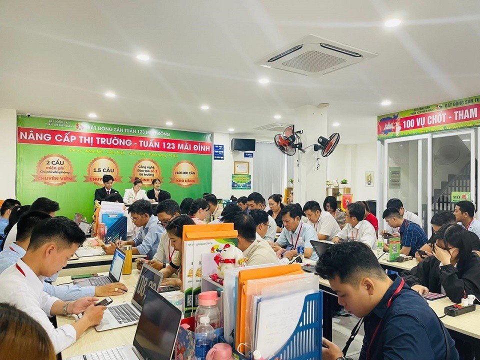 lĩnh vực hoạt động